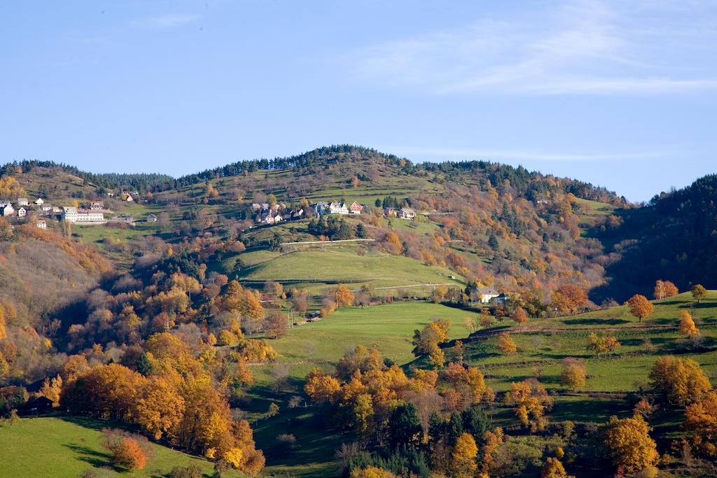 Gite Du Walsbach Villa Munster  Kamer foto